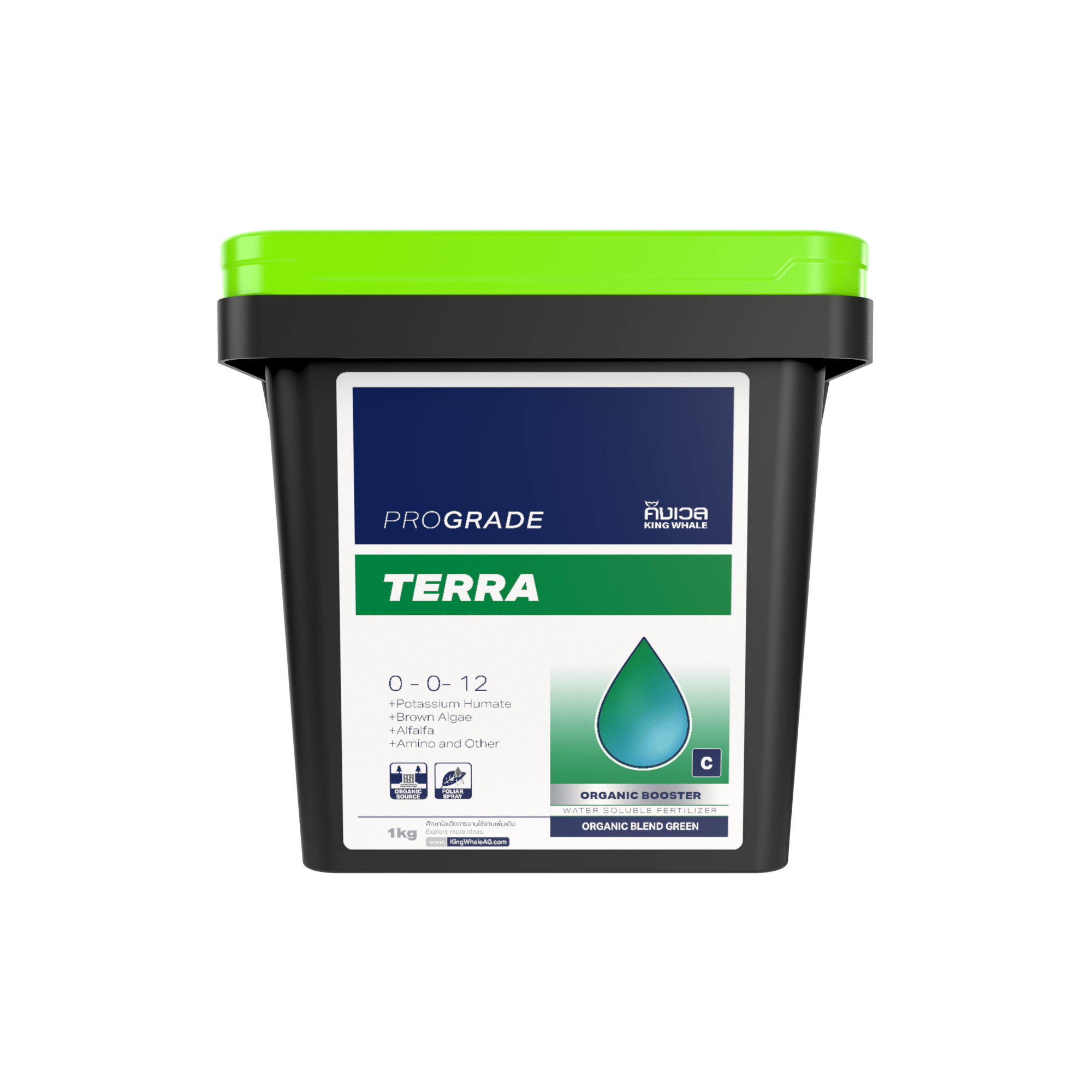 TERRA FRONT SINGLE 1