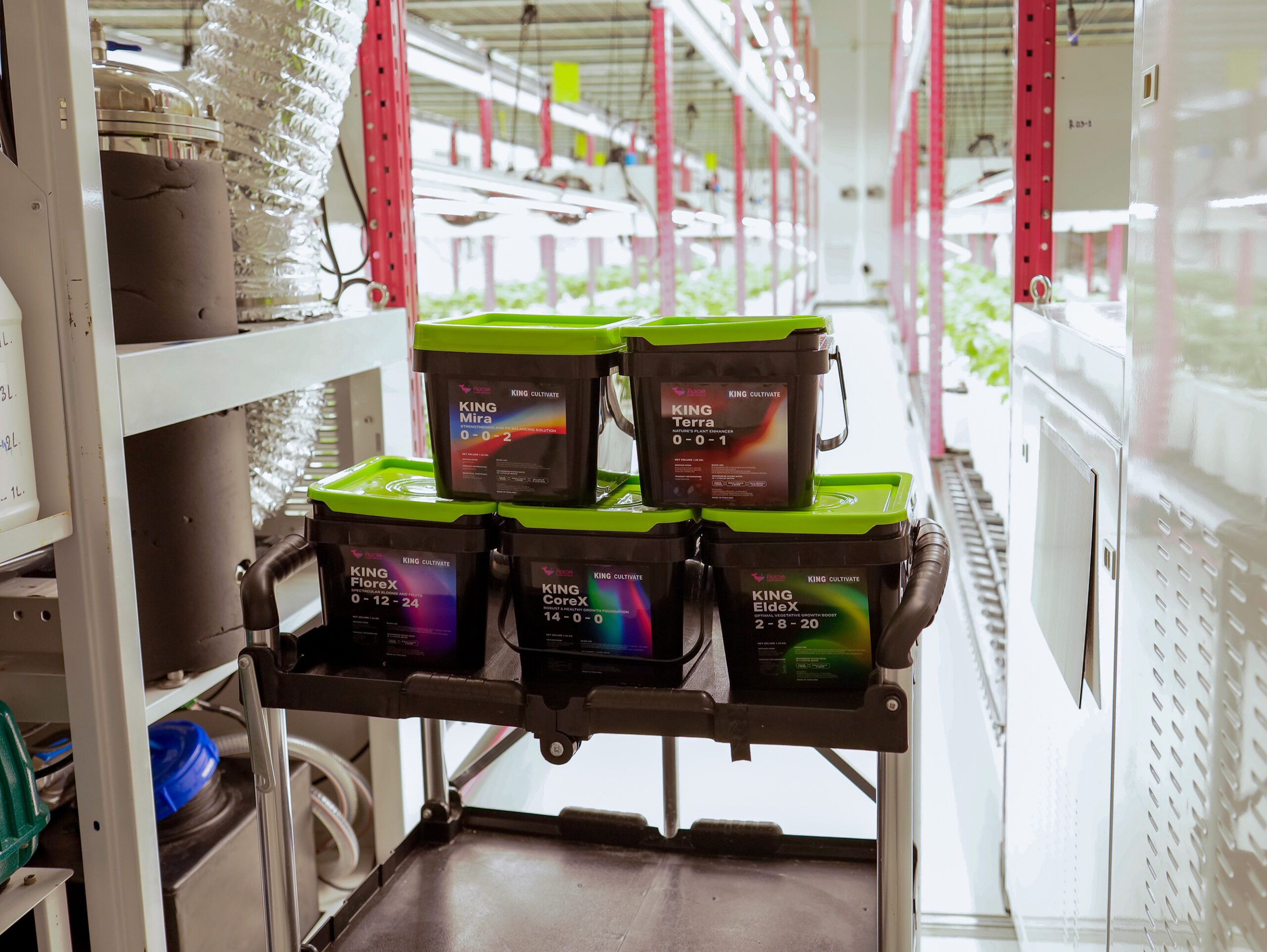 จูเนียร์ แอโรโพนิกส์ x คิงเวล : บทเรียนความสำเร็จในการปลูก 8 MG 3637 scaled