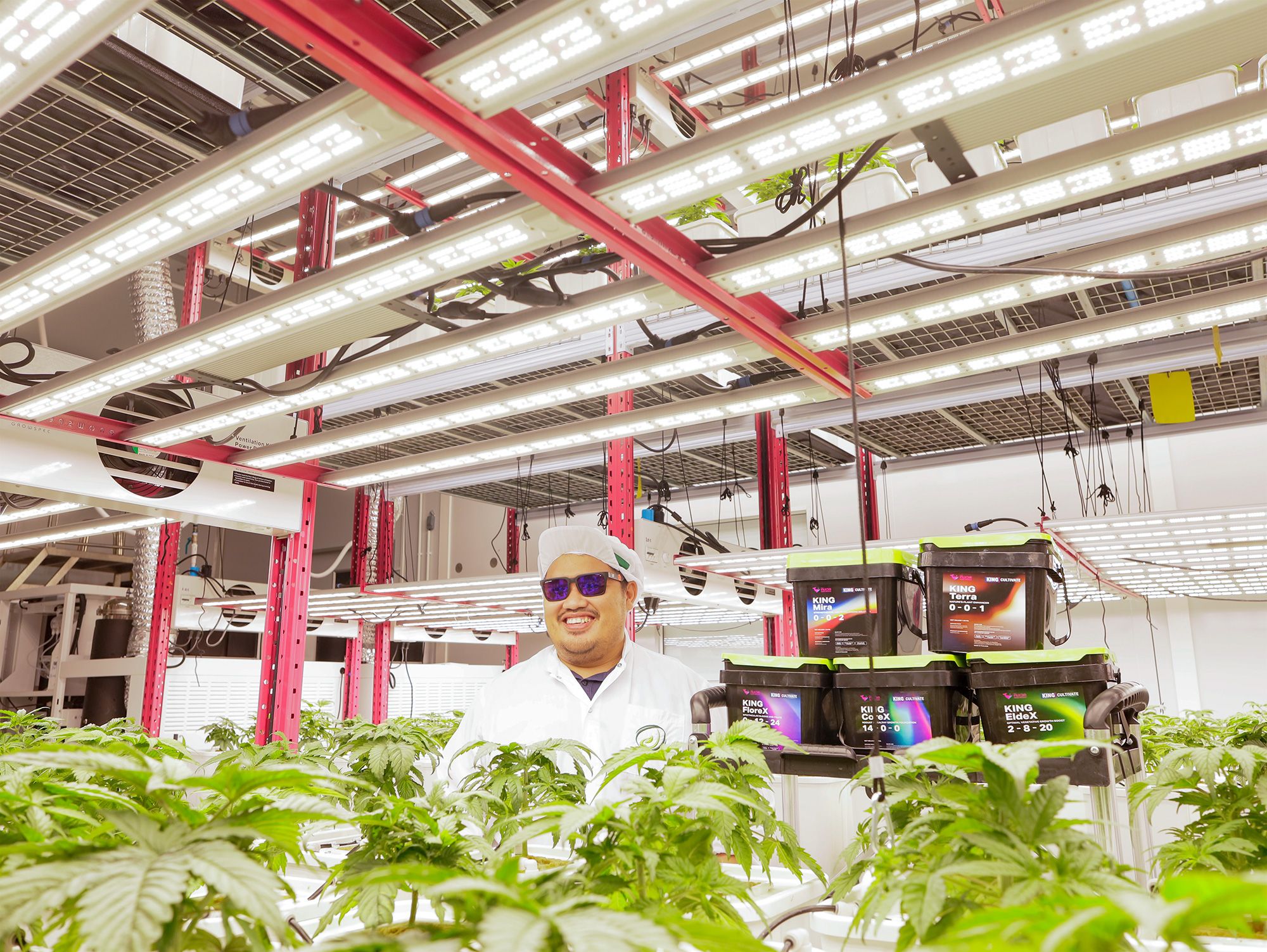 จูเนียร์ แอโรโพนิกส์ x คิงเวล : บทเรียนความสำเร็จในการปลูก 2 MG 3642