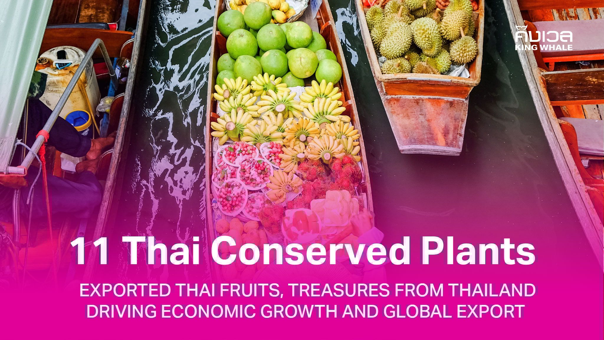 11 Thai Conserved Plants