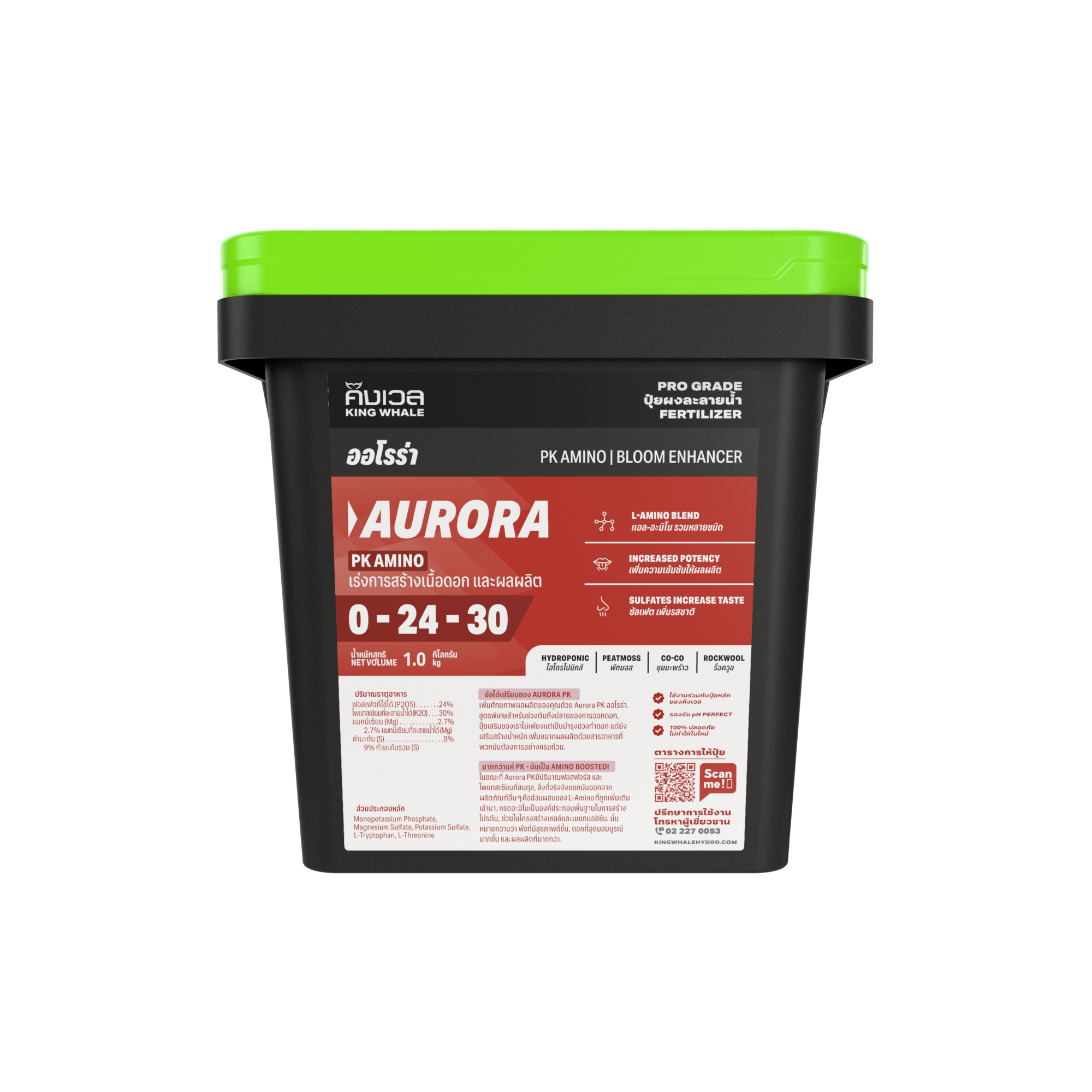 AURORA FRONT SINGLE