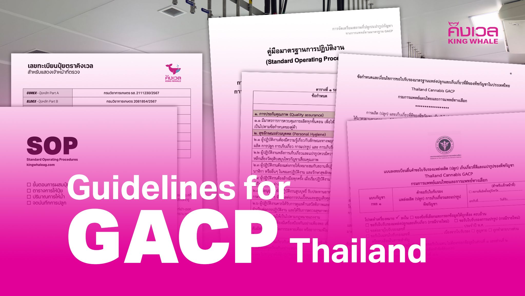 Guidelines for applying GACP Thailand 1 GACP EN