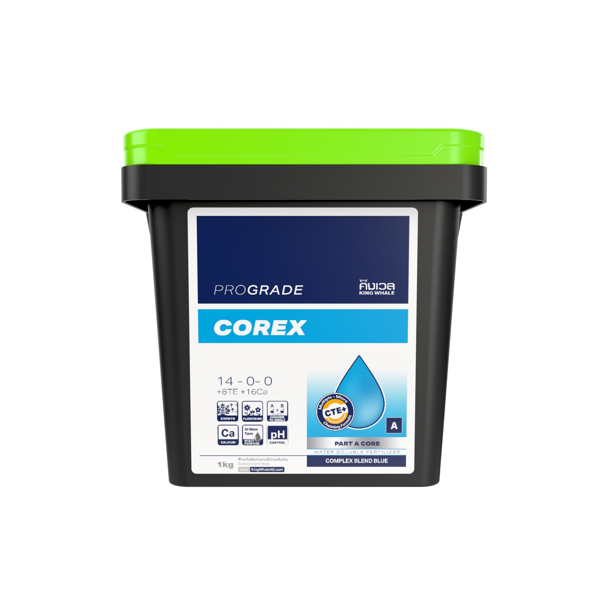 คอเร็กซ์ (COREX) 14-0-0 Part-A - Image 3