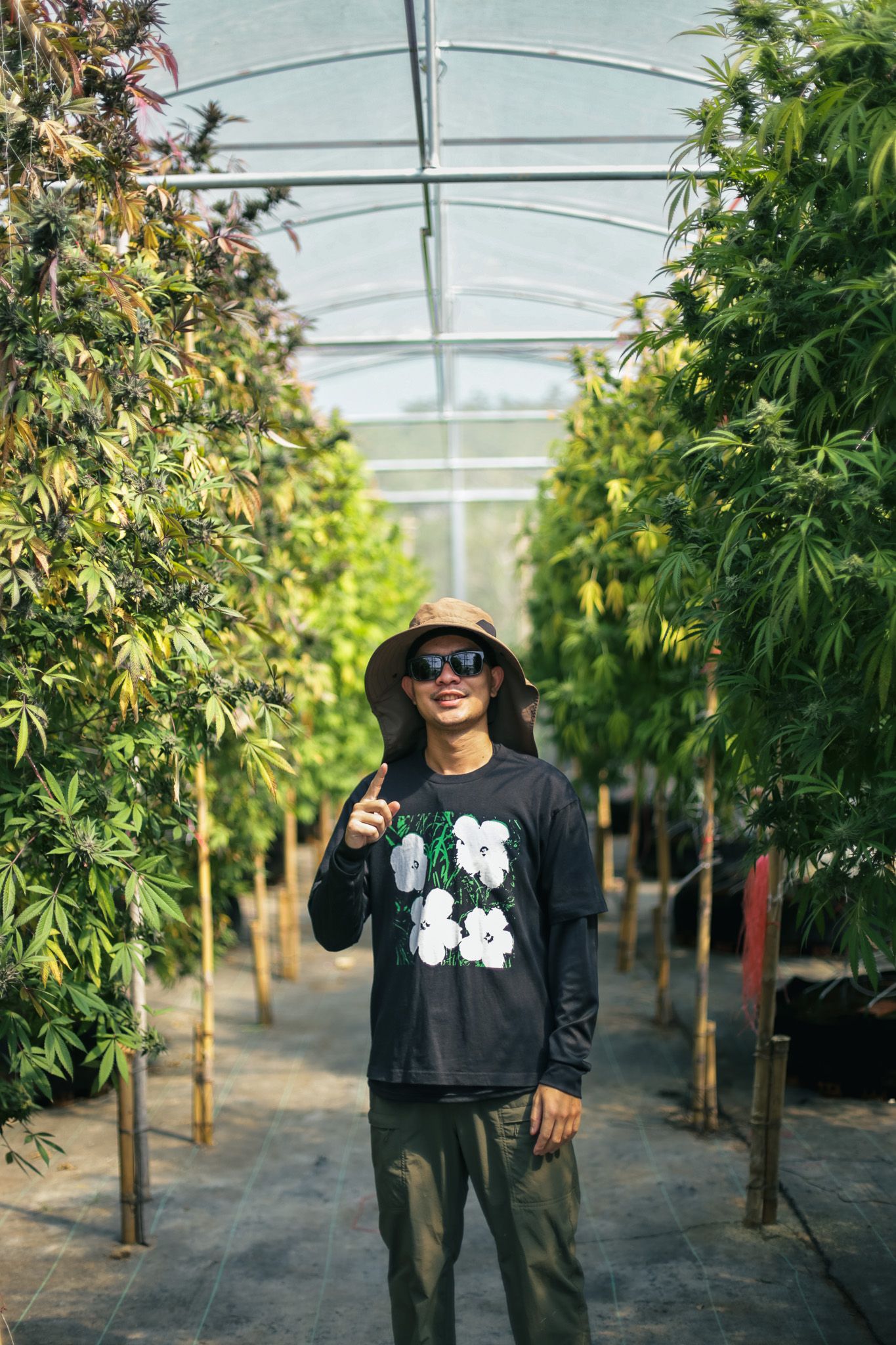 Cowboys Grower | When Passion Leads to the World of Professional Cultivation 7 IMG 1976