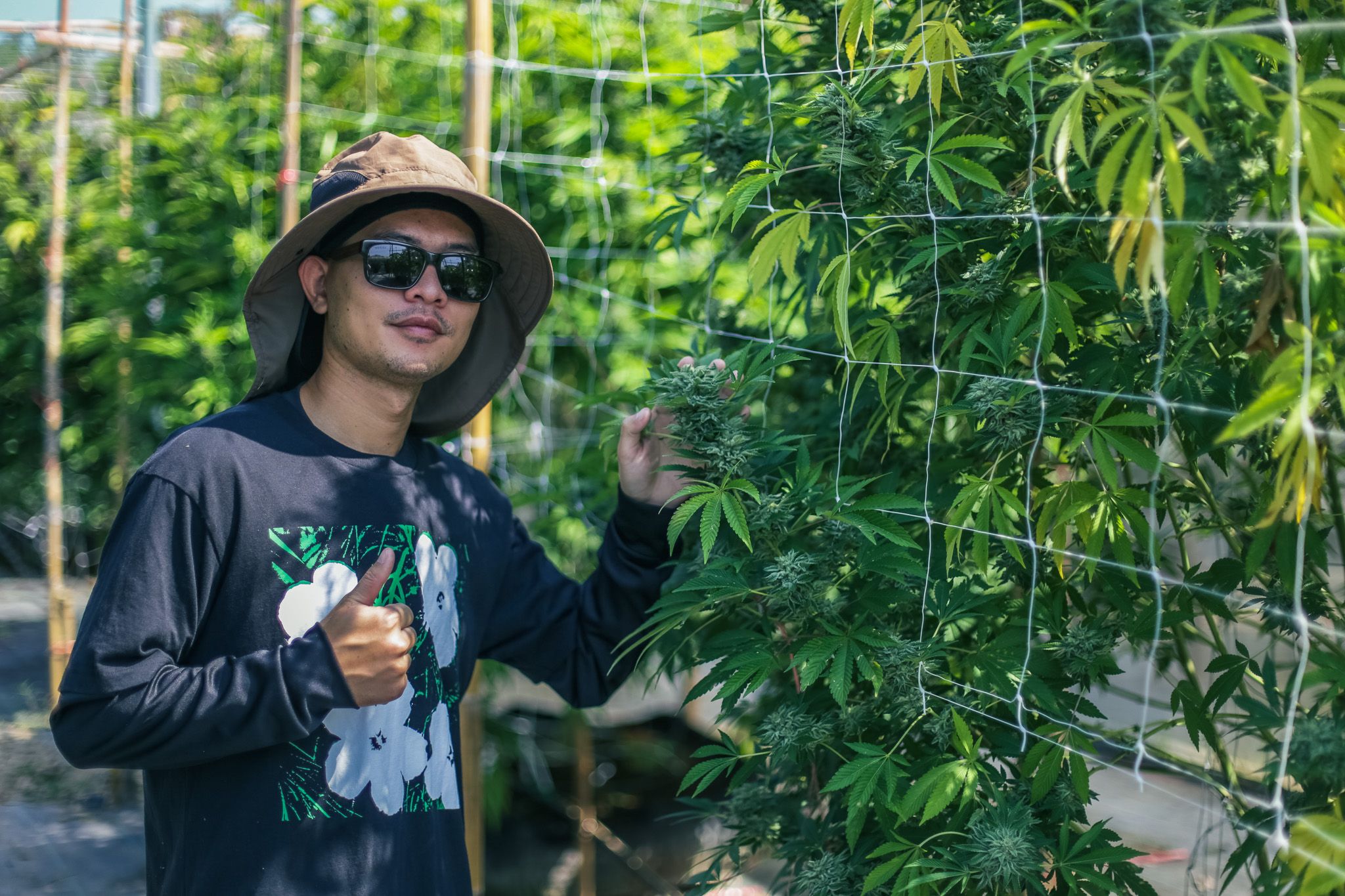 Cowboys Grower | When Passion Leads to the World of Professional Cultivation 5 IMG 1997
