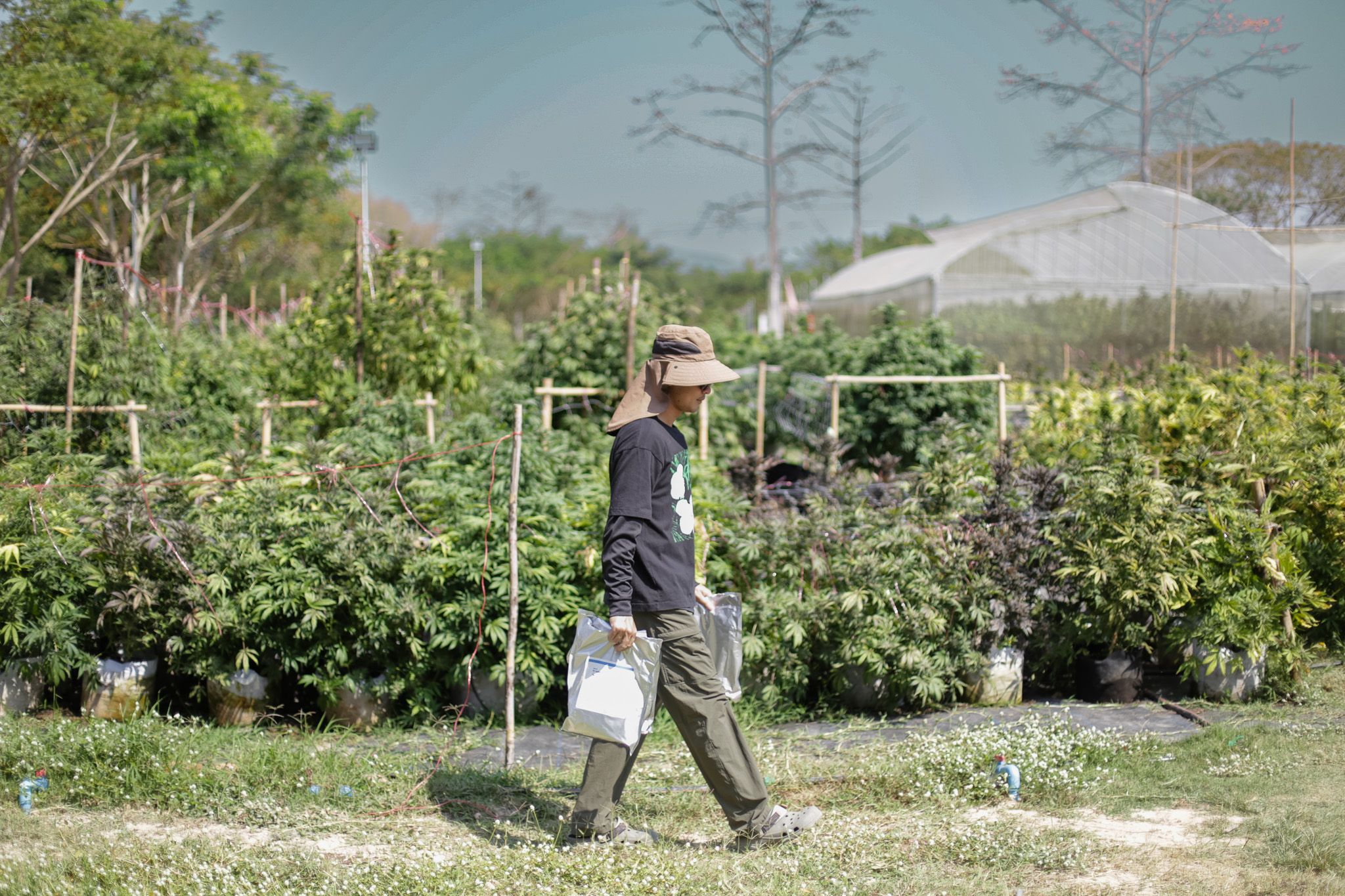 Cowboys Grower | When Passion Leads to the World of Professional Cultivation 6 IMG 2030