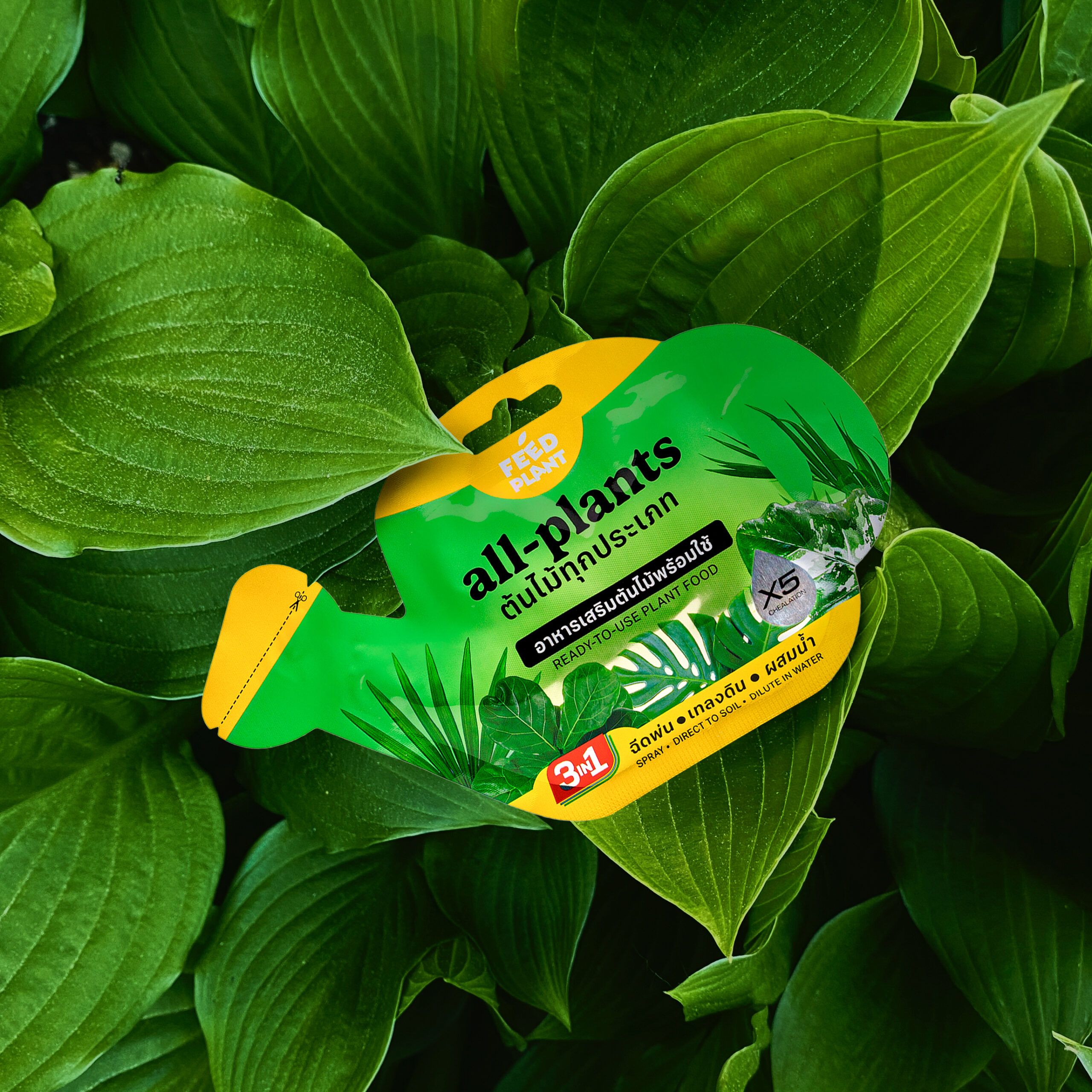 FEEDPLANT® - All Plants & Flowers - Image 2