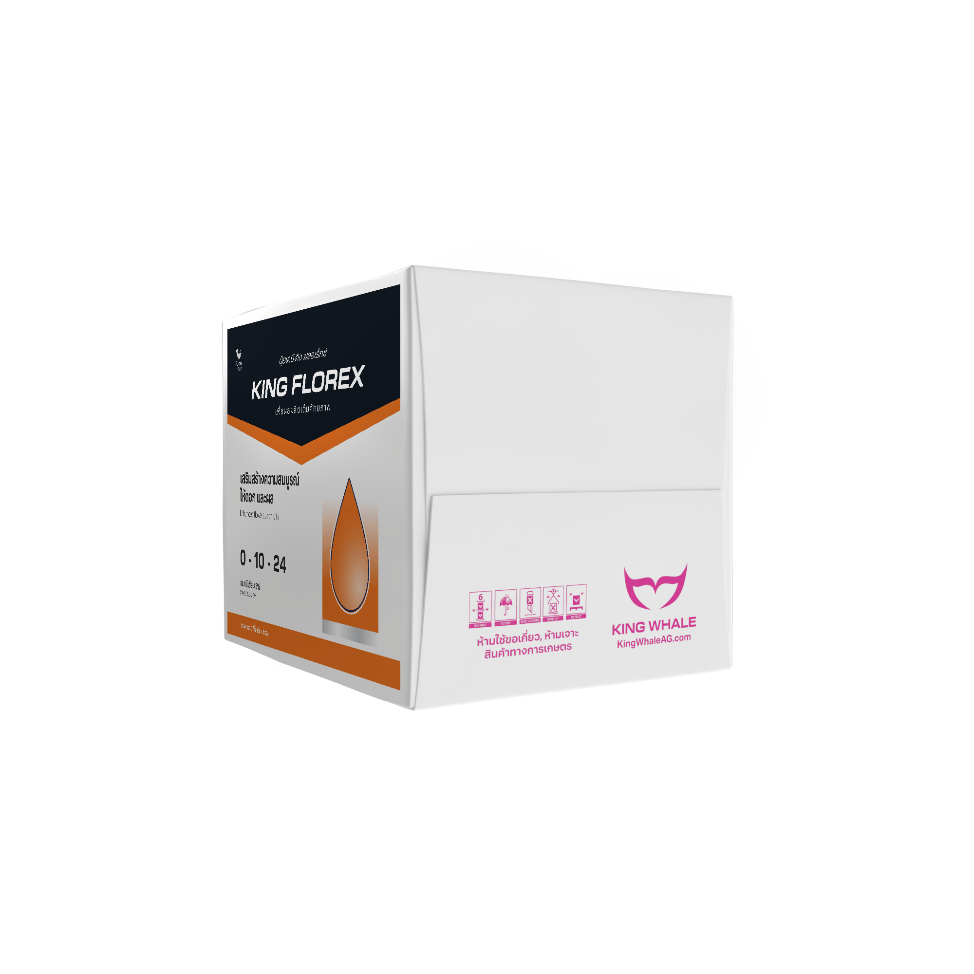 ฟลอเร็กซ์ (FLOREX) 0-12-26 Part-B - Image 4