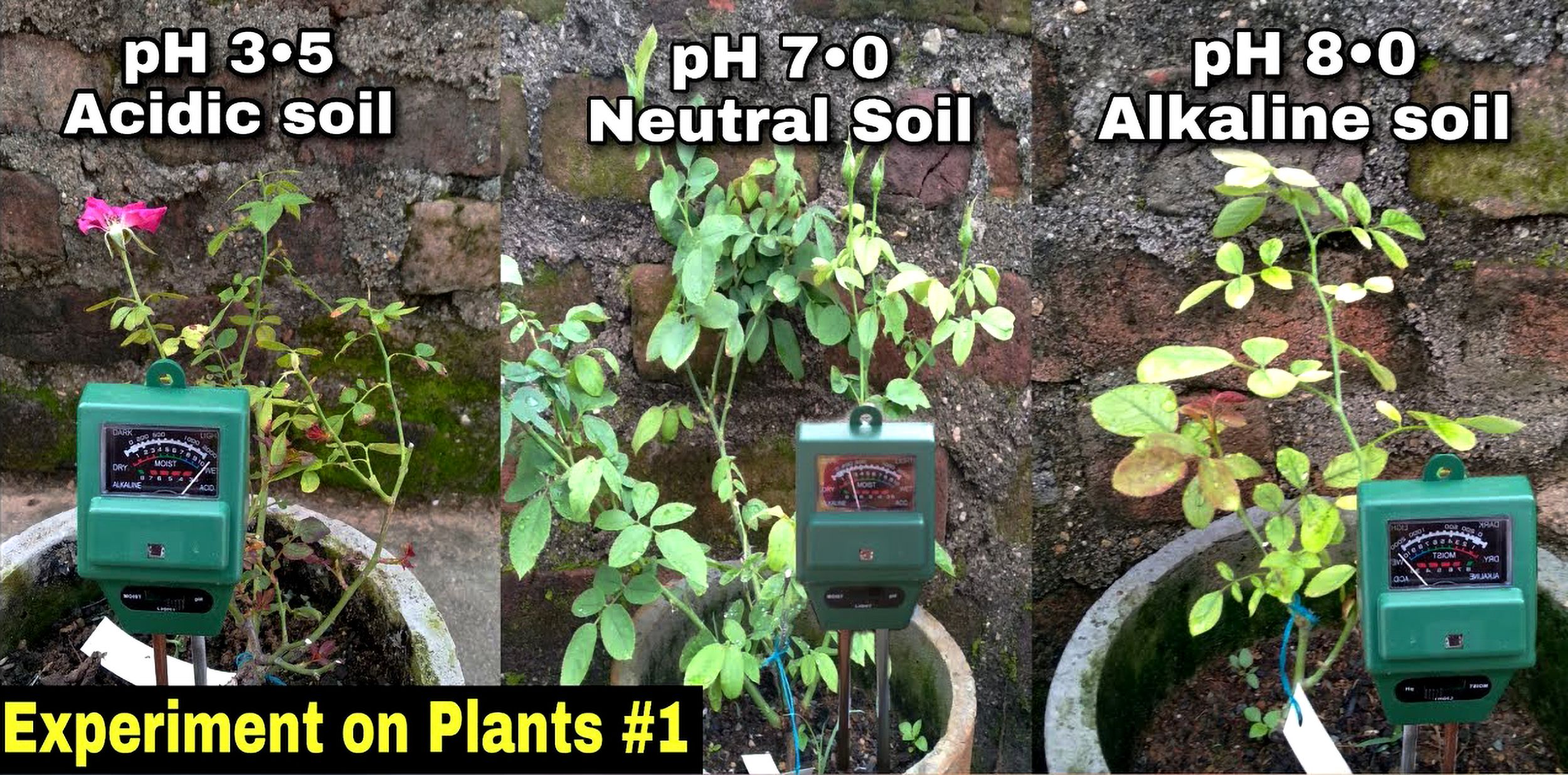 pH AutoPerfect®, an innovative automatic pH balancer for modern agriculture 5 ph test soil