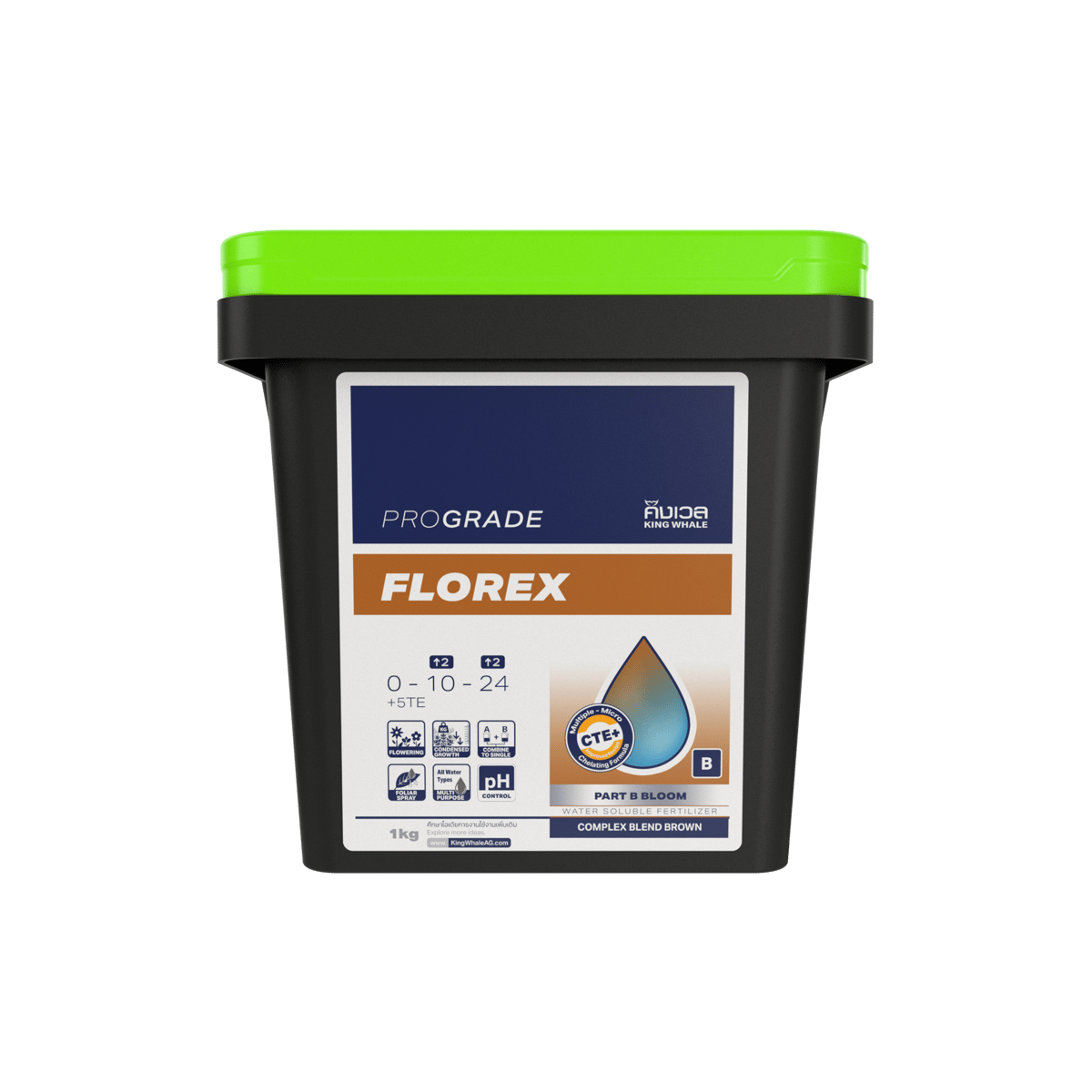ฟลอเร็กซ์ (FLOREX) 0-12-26 Part-B - Image 4