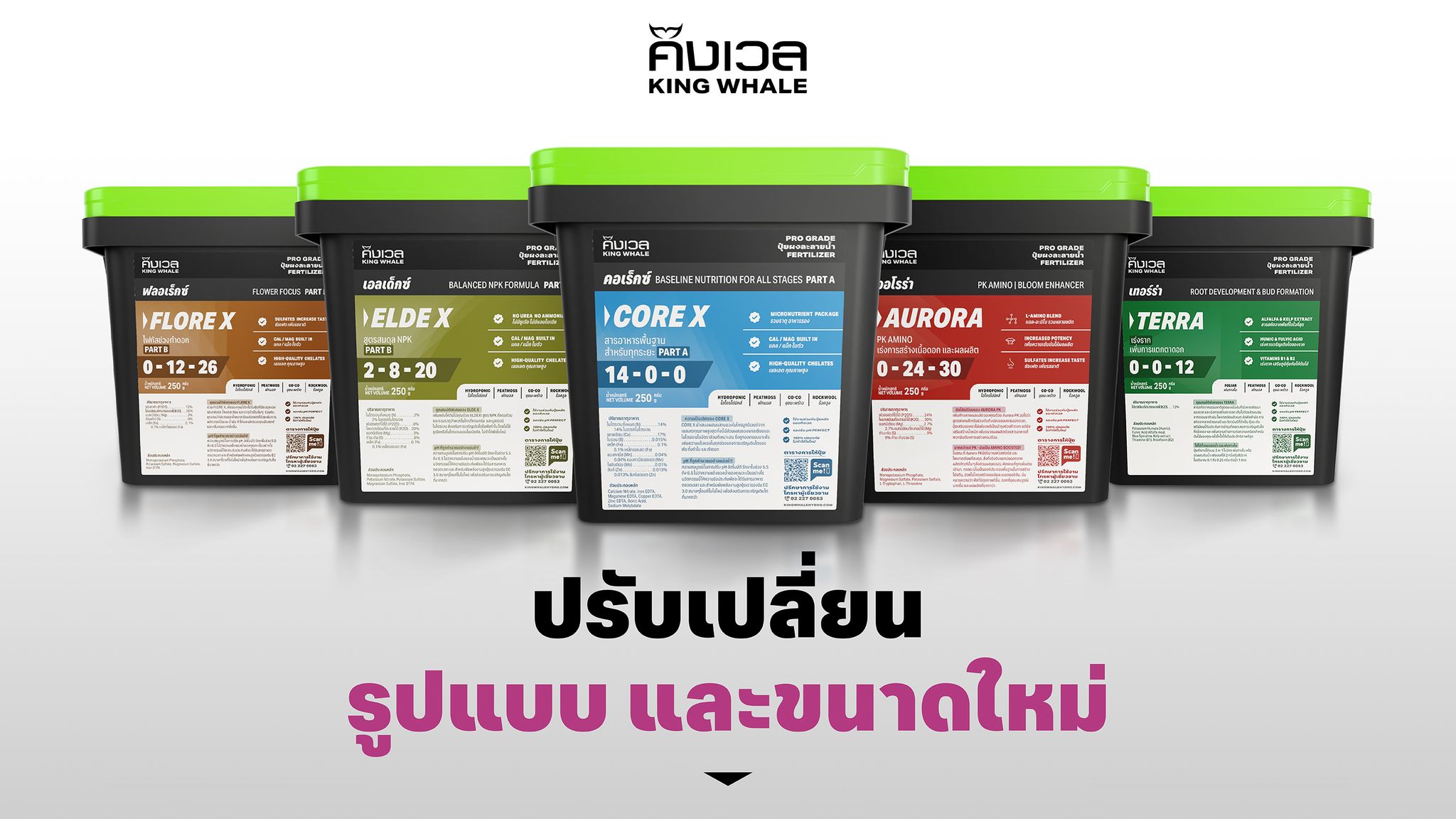 คิงเวล - Modern Agriculture 26 คิงเวล