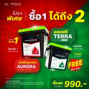 558872082 1310057540818461 5755015356725443246 n