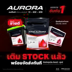 544957387 1283490646808484 1168833431804714666 n