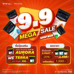 545055371 1283480730142809 3080133174338789794 n