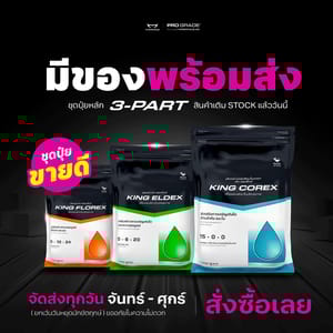 545584240 1283300030160879 3821461160647956110 n