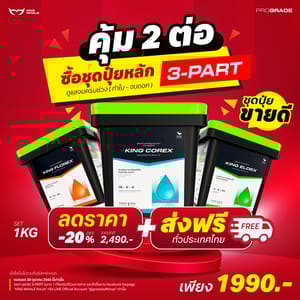 560672638 1306546347836247 205615258395278356 n