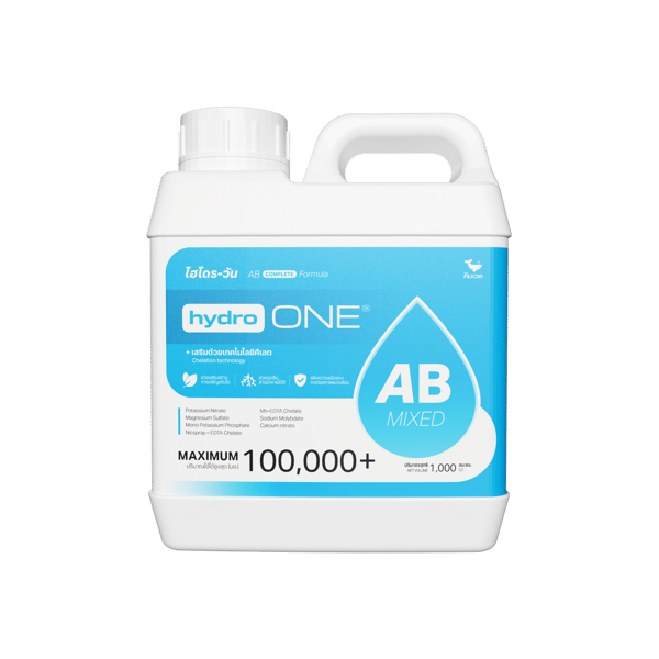 Hydro-ONE (ไฮโดร-วัน)