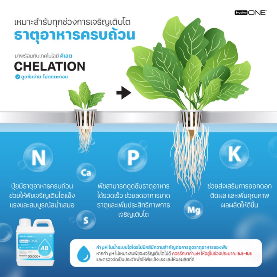 Root Comparison - Chelation vs Normal